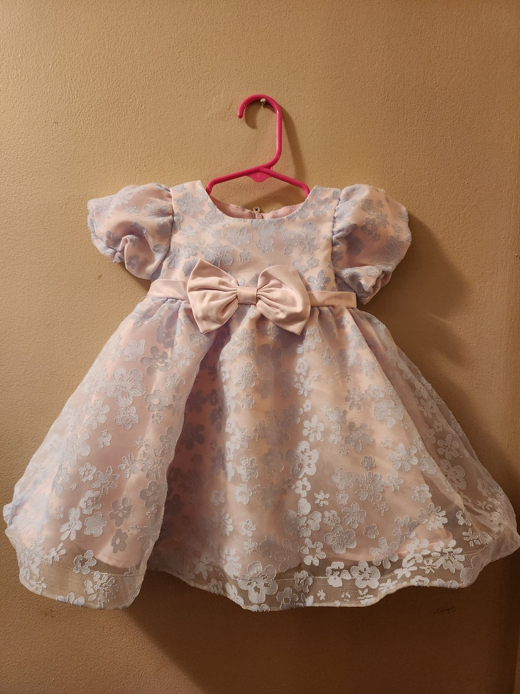 Rare Editions Baby Girl Floral Burnout Organza Social Dress 12M
