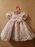 Rare Editions Baby Girl Floral Burnout Organza Social Dress 12M