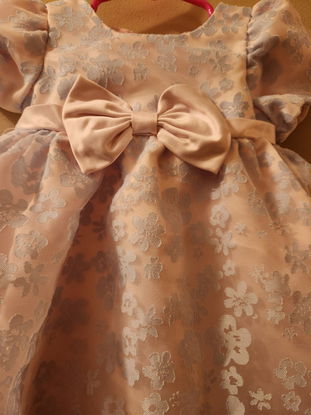 Rare Editions Baby Girl Floral Burnout Organza Social Dress 12M