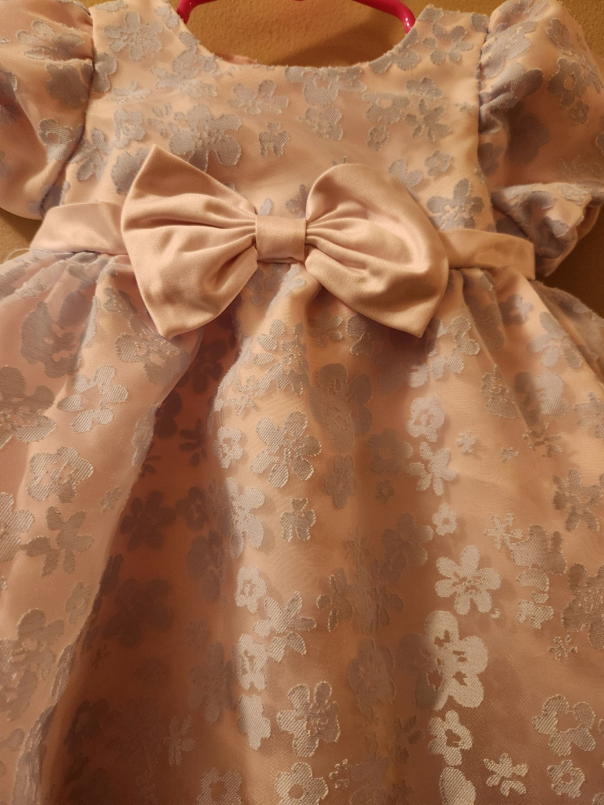 Rare Editions Baby Girl Floral Burnout Organza Social Dress 12M