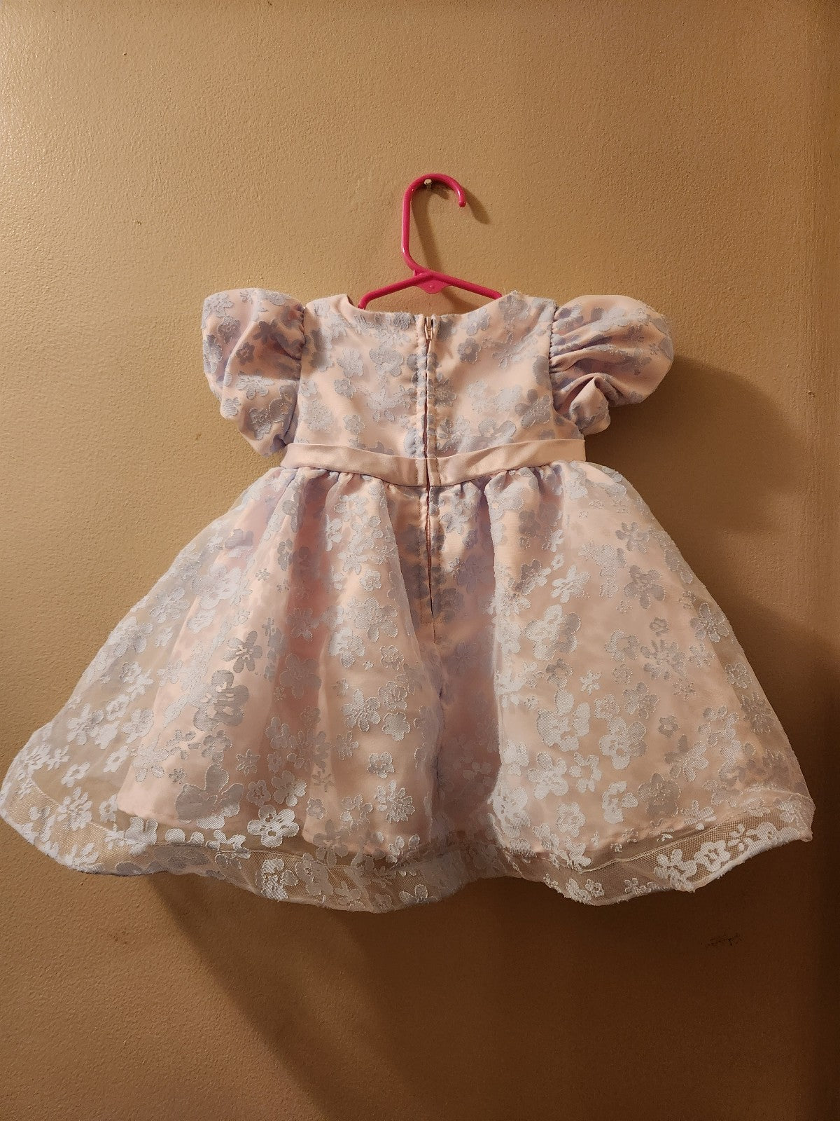 Rare Editions Baby Girl Floral Burnout Organza Social Dress 12M